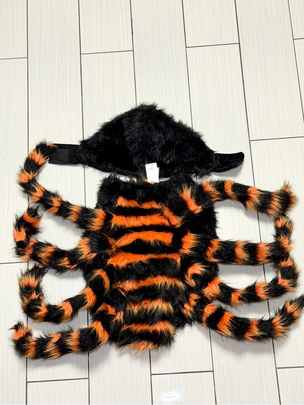 Skull & Bones Spooky Spider Dog Pet Halloween Costume – Size L